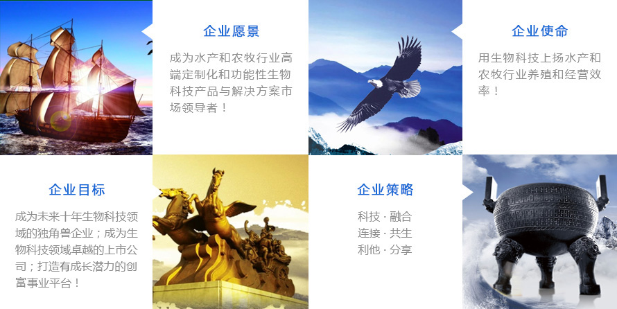 企业文化